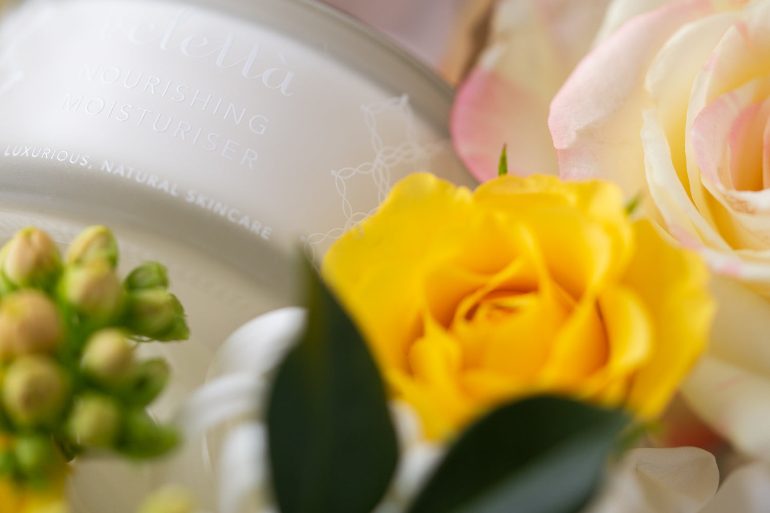 Velettà skincare | Spotlight on Ingredients: Meadowfoam Seed Oil