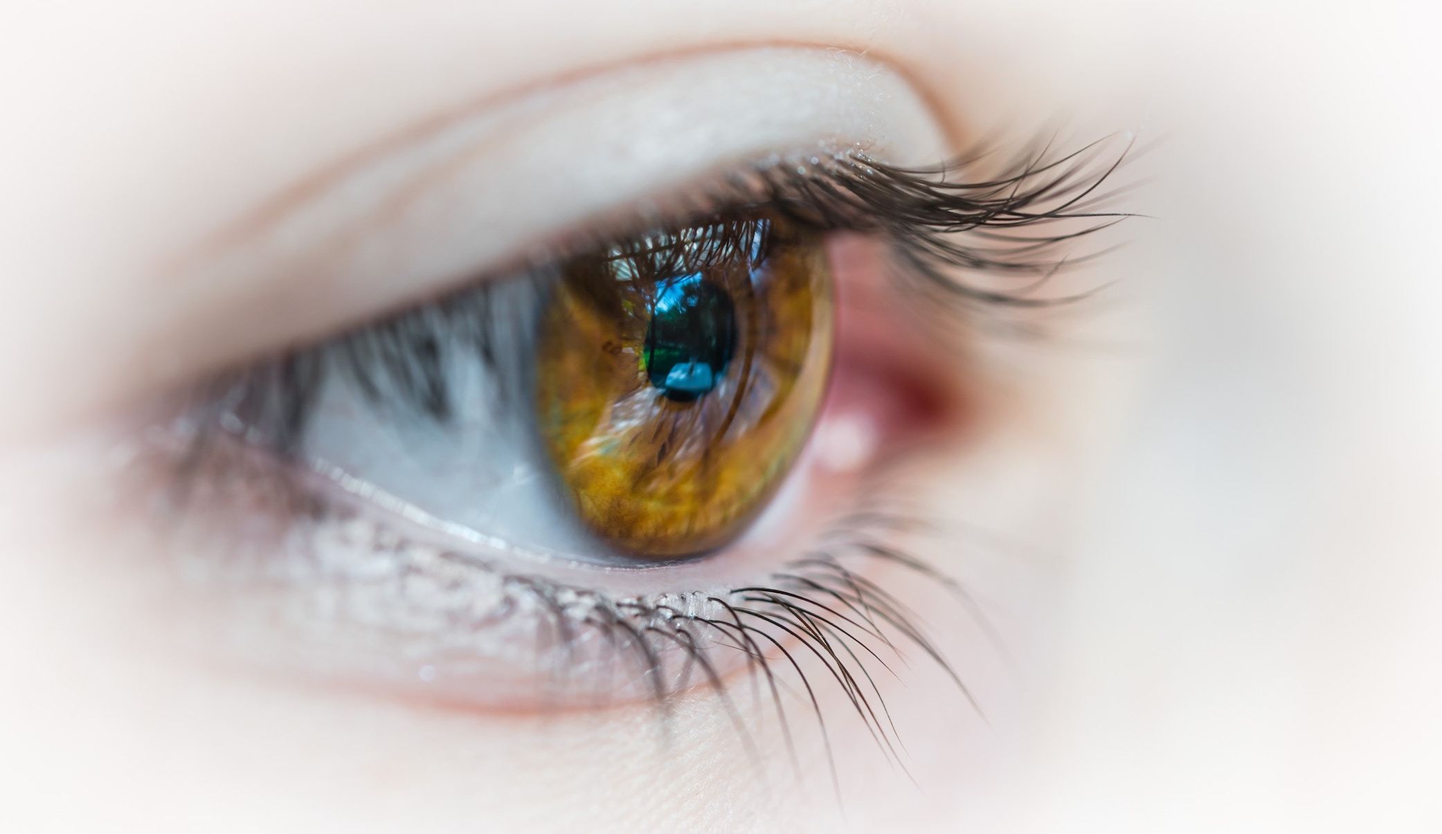 It's all about the eyes
