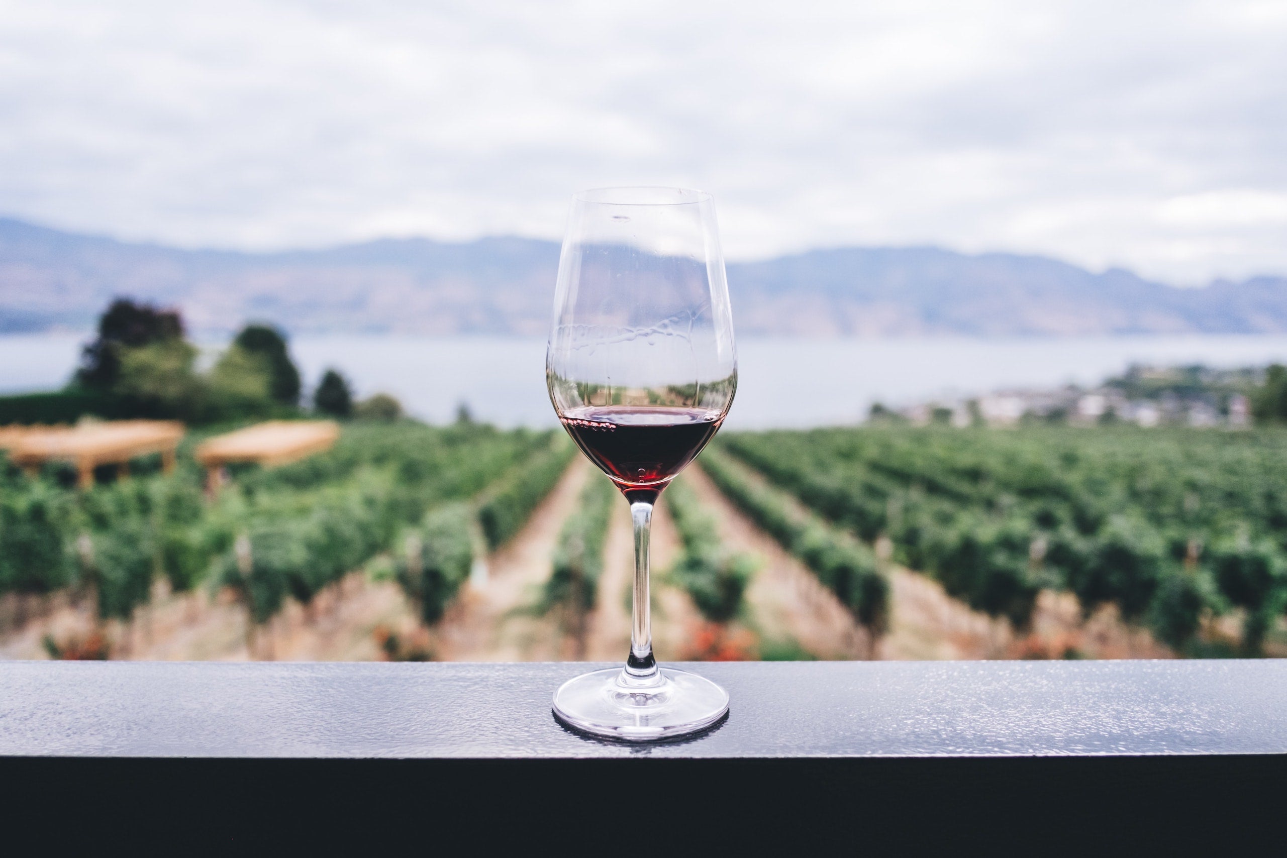 How to Incorporate Red Wine into your Skincare Routine | Velettà skincare