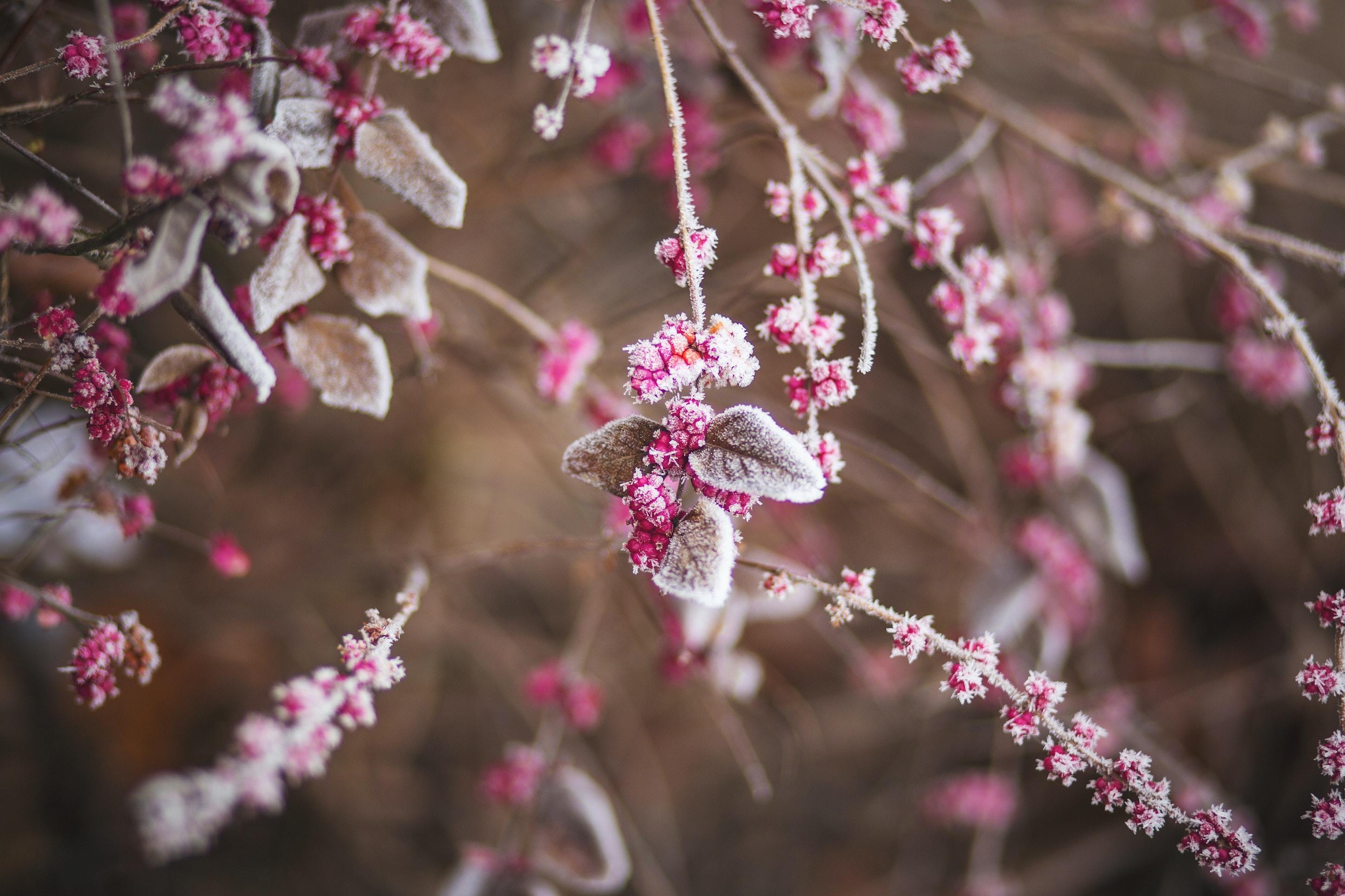 4 Winter Recipes for Great Skin