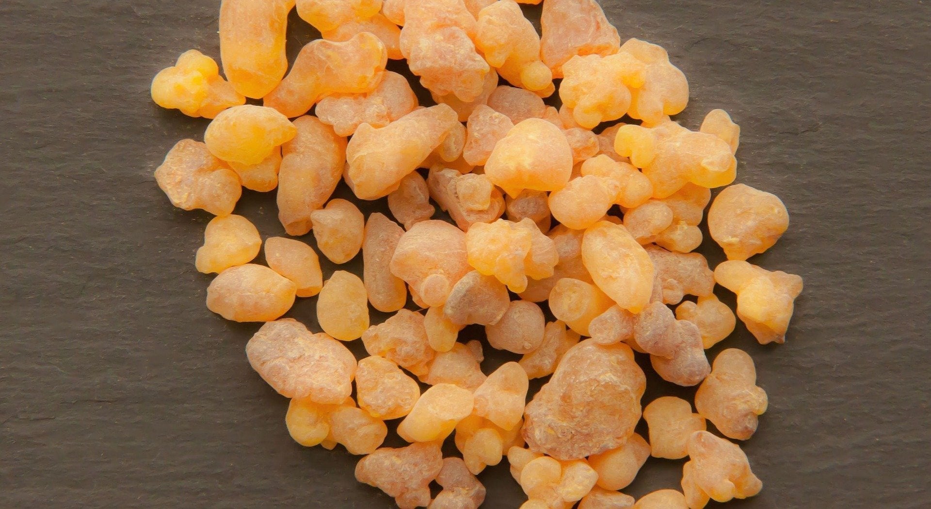 Spotlight on Ingredients #5: Frankincense - Velettà