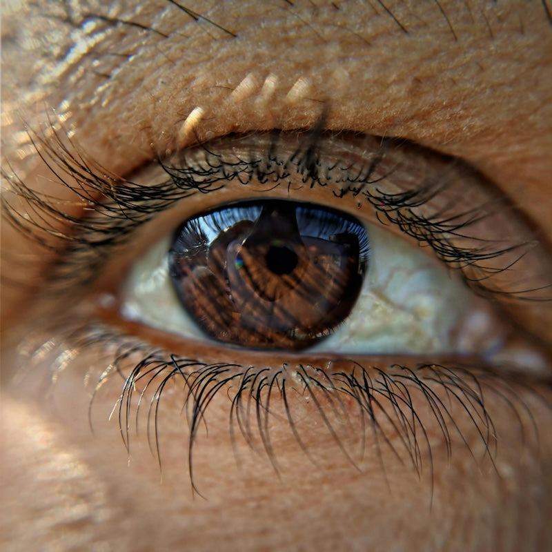 Brown Eyes looking up