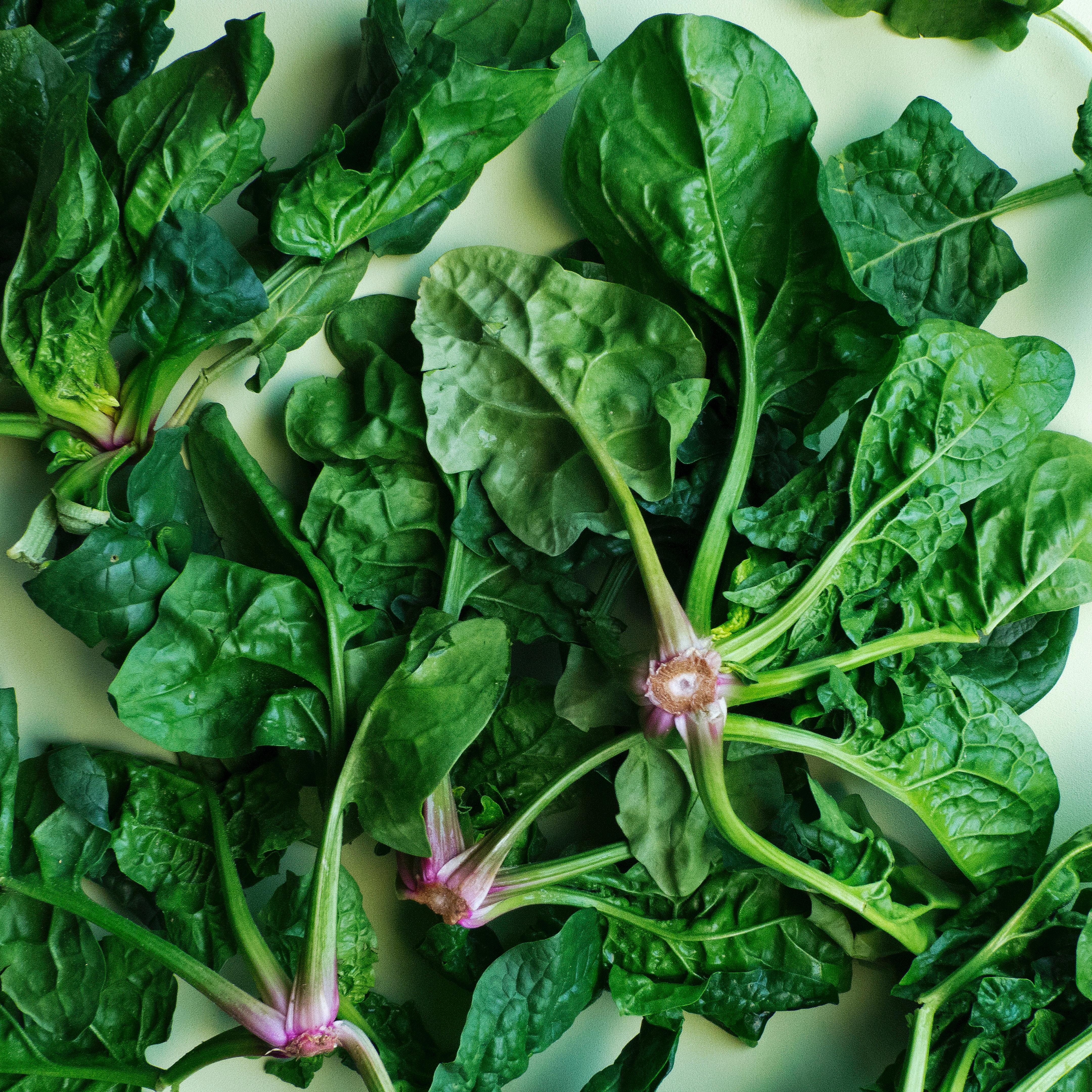 Three Recipes that Use Greens