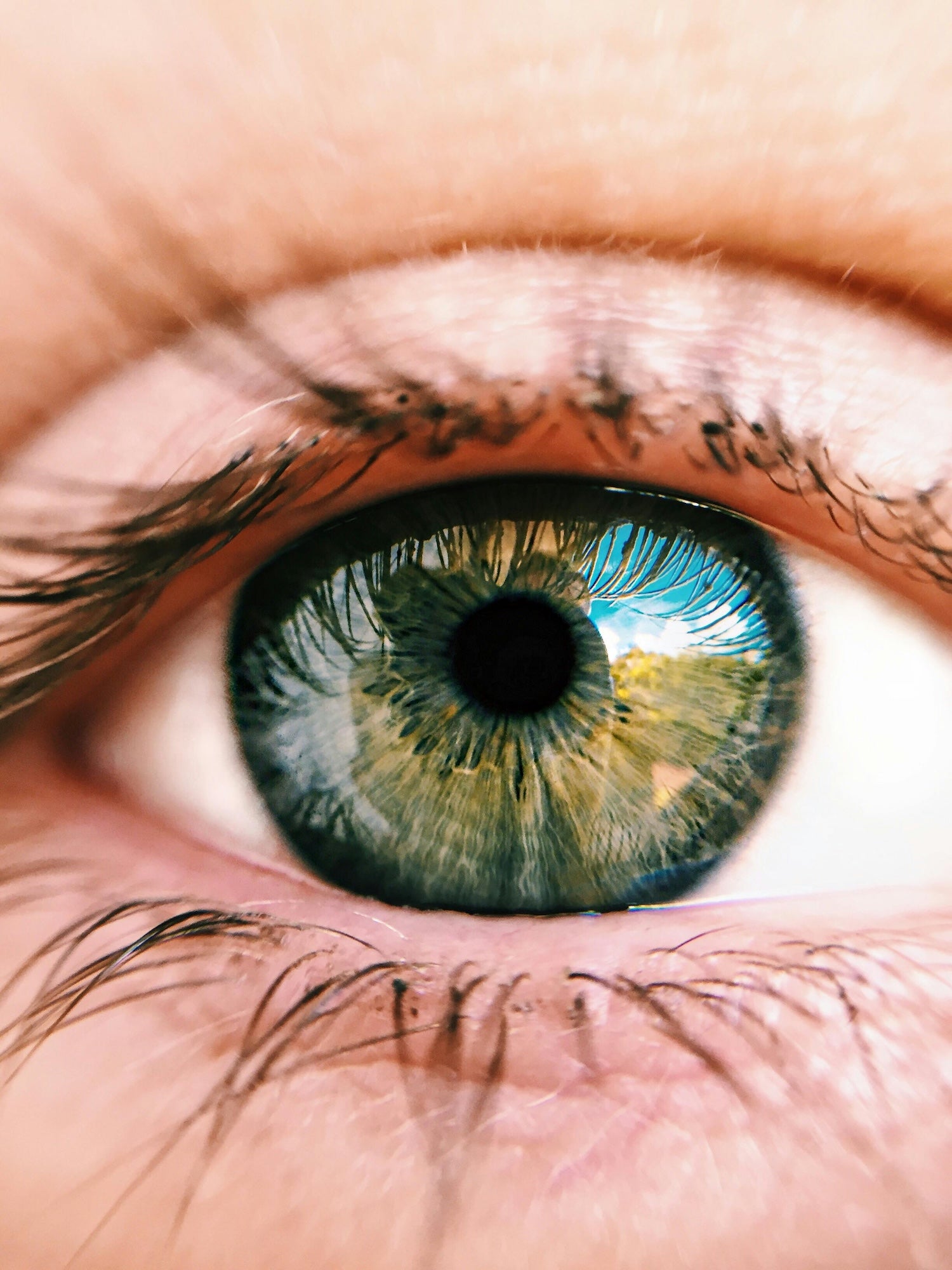 how to maintain healthy eyes