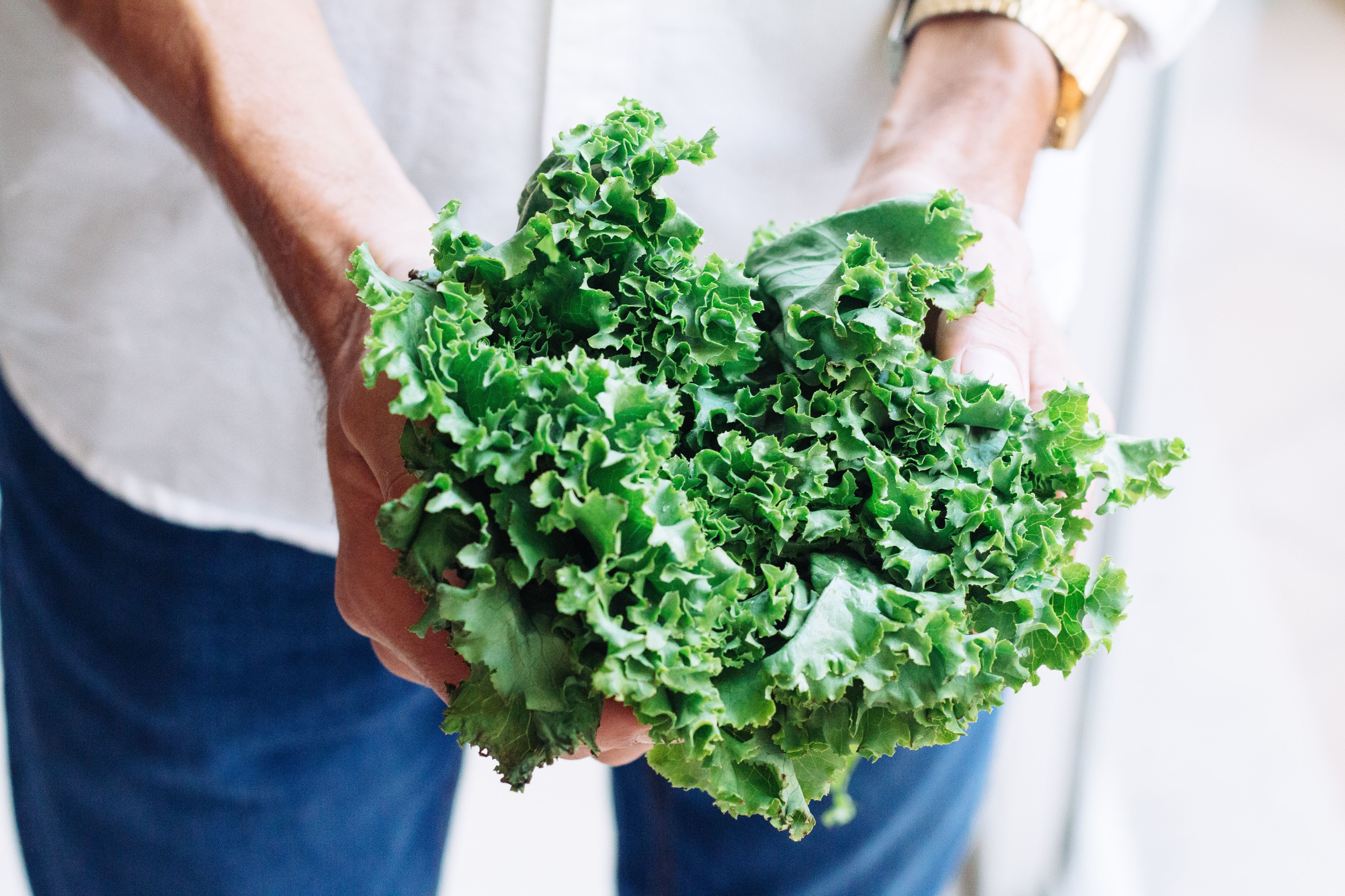 Why Green Leafy Vegetables Should be a part of your diet
